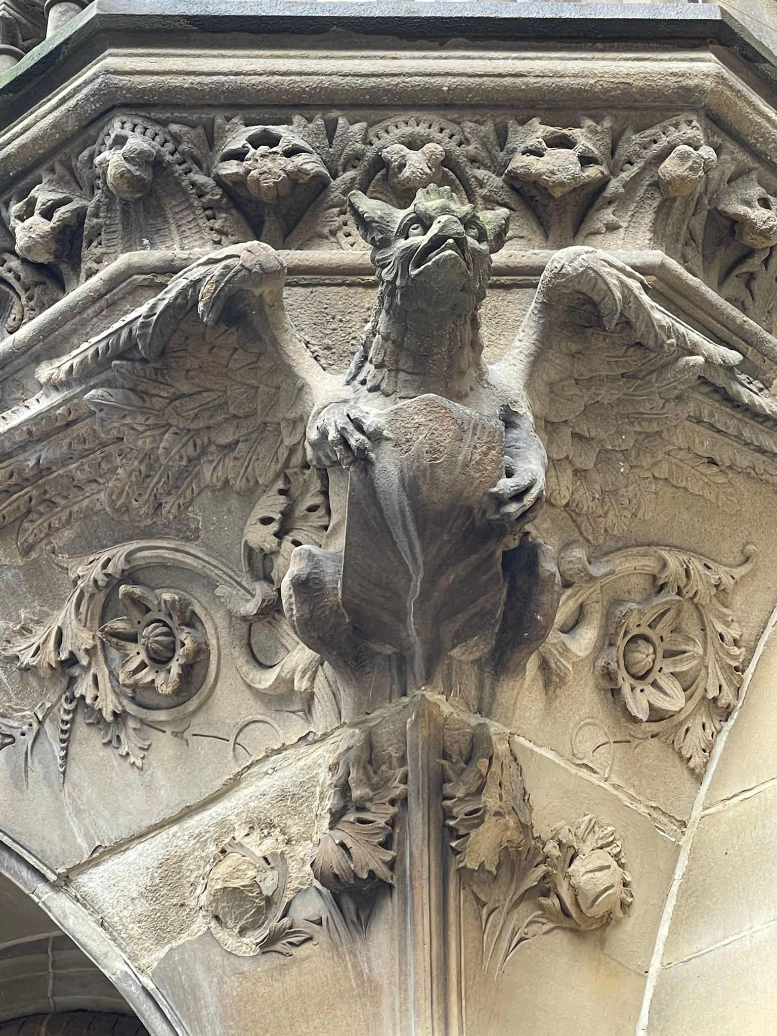 The Wonderful and the Weird